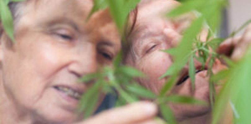 Reverse The Aging Process Using Cannabis