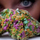 Cannabis: Treatment For Bipolar Disorder