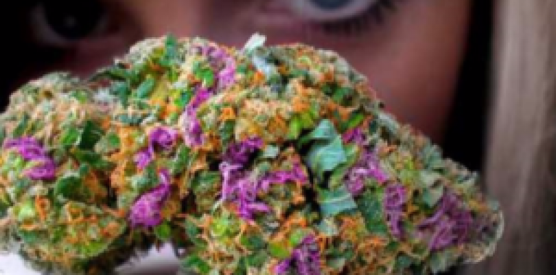 Cannabis: Treatment For Bipolar Disorder